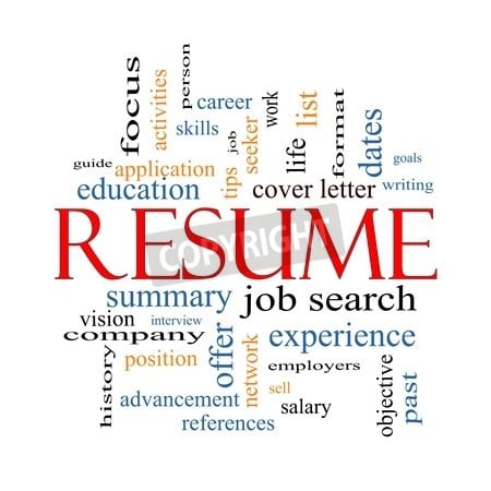 Resume graphic 2