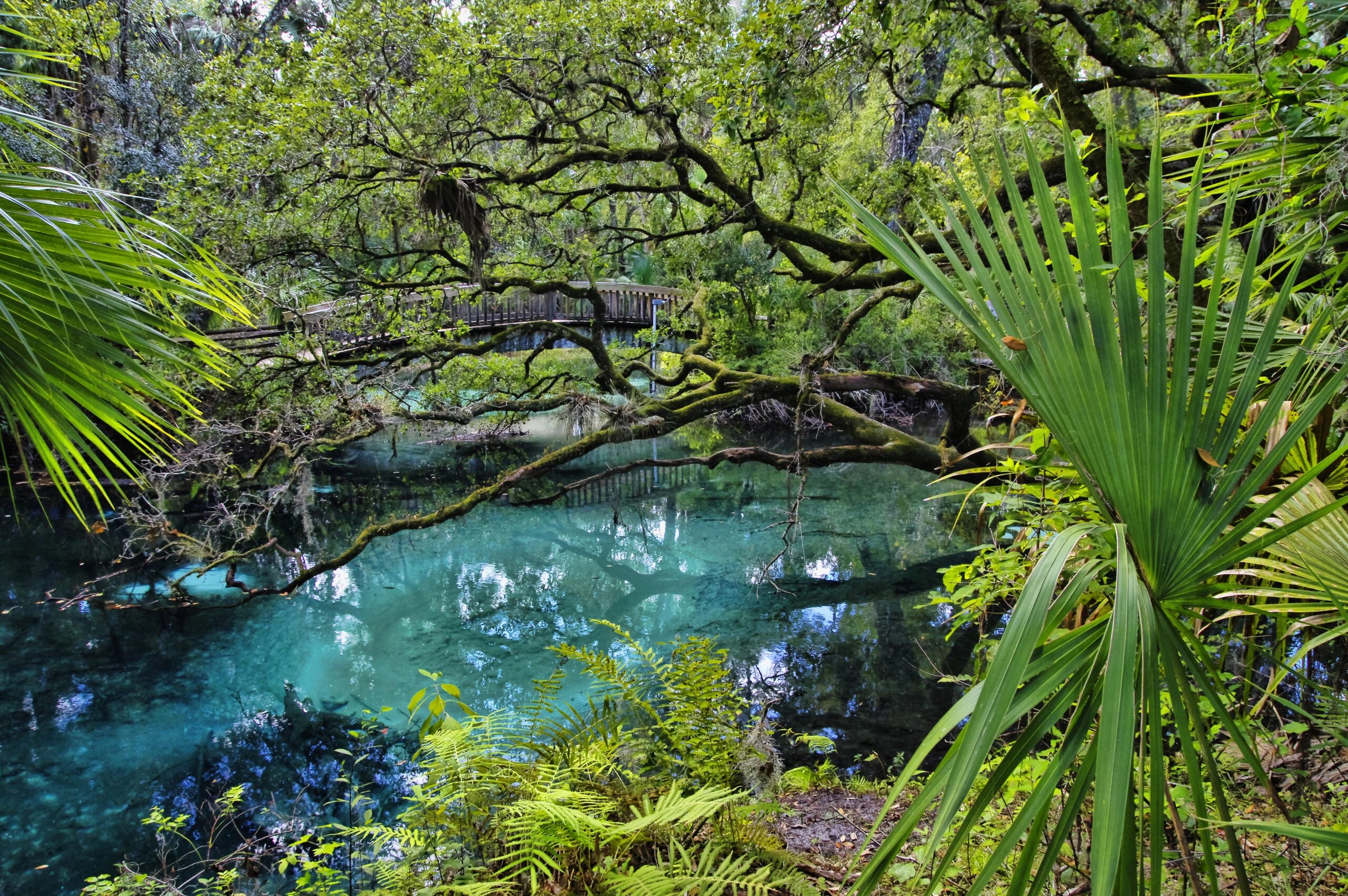 Ocala, Florida